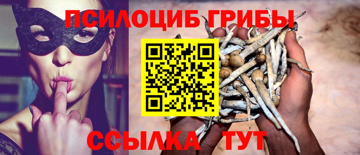 Галлюциногенные грибы прущие грибы Серов