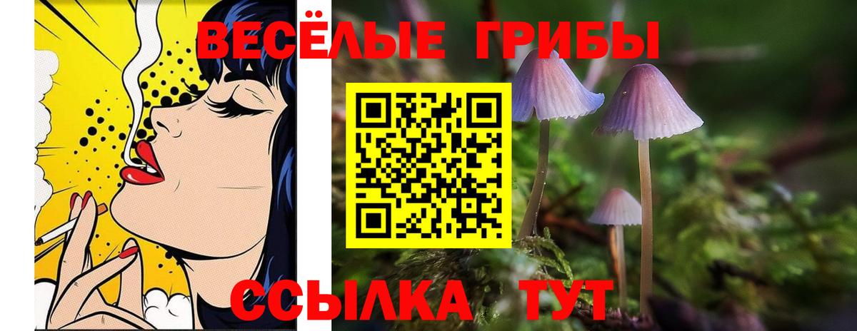 Псилоцибиновые грибы мухоморы  Псилоцибиновые грибы Psilocybine cubensis  Вход с VPN  Серов 